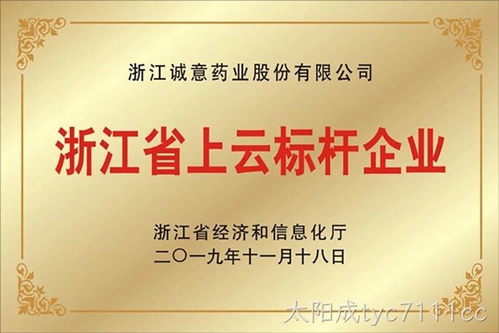 浙江省上云标杆企业 浙江省上云标杆企业